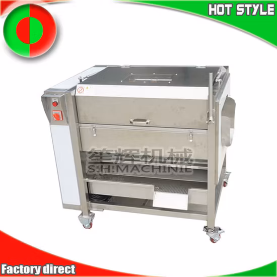 Machine automatique d'élimination des écailles de poisson, brosse d'épluchage de manioc, Machine de nettoyage de gingembre avec couvercle, Machine à laver Orange, Machine à éplucher les pommes de terre
